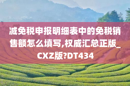 减免税申报明细表中的免税销售额怎么填写,权威汇总正版_CXZ版?DT434