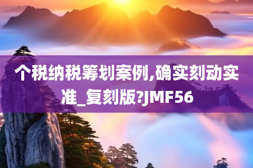 个税纳税筹划案例,确实刻动实准_复刻版?JMF56