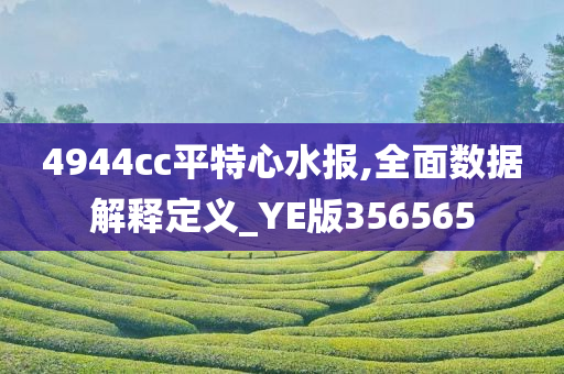 4944cc平特心水报,全面数据解释定义_YE版356565