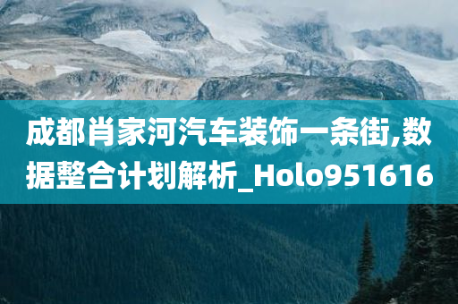 成都肖家河汽车装饰一条街,数据整合计划解析_Holo951616