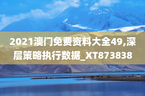 2021澳门免费资料大全49,深层策略执行数据_XT873838