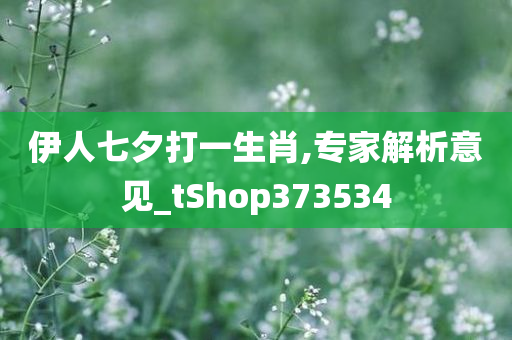 伊人七夕打一生肖,专家解析意见_tShop373534