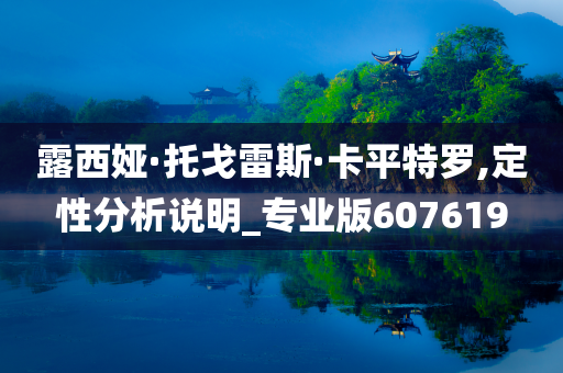 露西娅·托戈雷斯·卡平特罗,定性分析说明_专业版607619