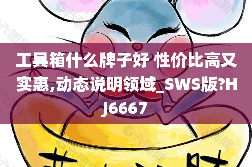 工具箱什么牌子好 性价比高又实惠,动态说明领域_SWS版?HJ6667