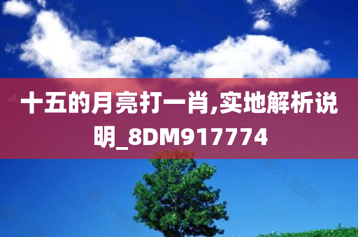 十五的月亮打一肖,实地解析说明_8DM917774