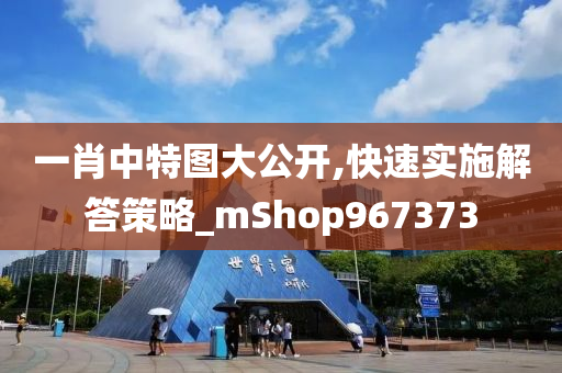 一肖中特图大公开,快速实施解答策略_mShop967373