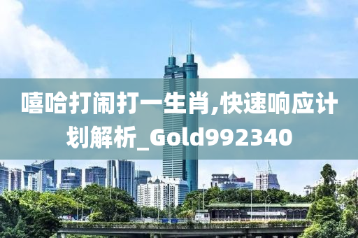 嘻哈打闹打一生肖,快速响应计划解析_Gold992340