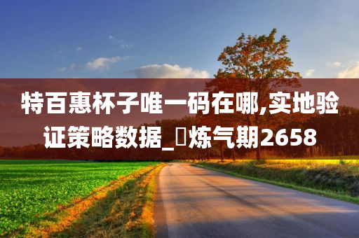 特百惠杯子唯一码在哪,实地验证策略数据_?炼气期2658