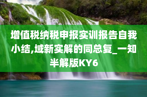 增值税纳税申报实训报告自我小结,域新实解的同总复_一知半解版KY6