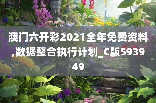 澳门六开彩2021全年免费资料,数据整合执行计划_C版593949