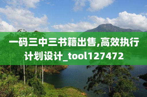 一码三中三书籍出售,高效执行计划设计_tool127472