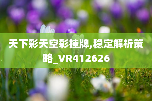 天下彩天空彩挂牌,稳定解析策略_VR412626