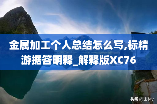 金属加工个人总结怎么写,标精游据答明释_解释版XC76