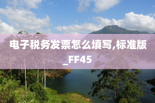 电子税务发票怎么填写,标准版_FF45