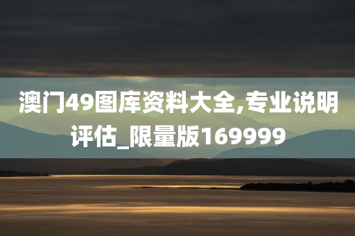 澳门49图库资料大全,专业说明评估_限量版169999