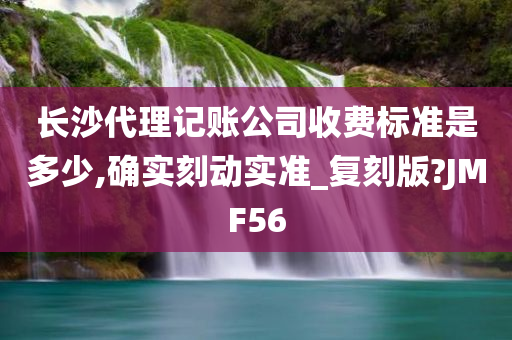 长沙代理记账公司收费标准是多少,确实刻动实准_复刻版?JMF56