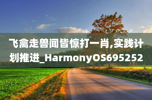 飞禽走兽闻皆惊打一肖,实践计划推进_HarmonyOS695252