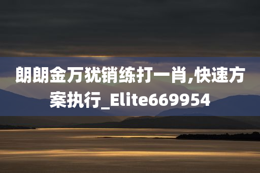 朗朗金万犹销练打一肖,快速方案执行_Elite669954