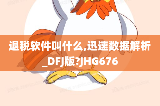 退税软件叫什么,迅速数据解析_DFJ版?JHG676