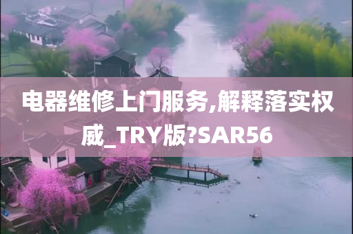 电器维修上门服务,解释落实权威_TRY版?SAR56