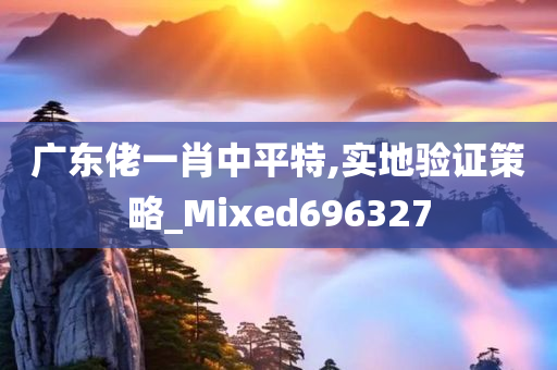 广东佬一肖中平特,实地验证策略_Mixed696327