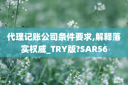 代理记账公司条件要求,解释落实权威_TRY版?SAR56