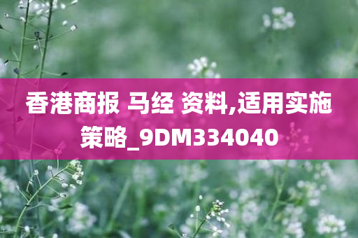 香港商报 马经 资料,适用实施策略_9DM334040