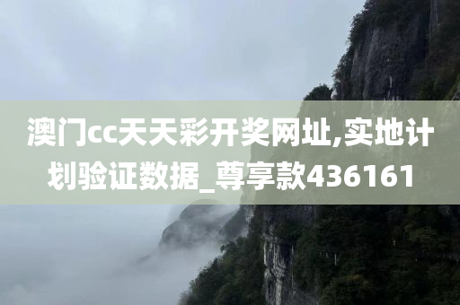 澳门cc天天彩开奖网址,实地计划验证数据_尊享款436161