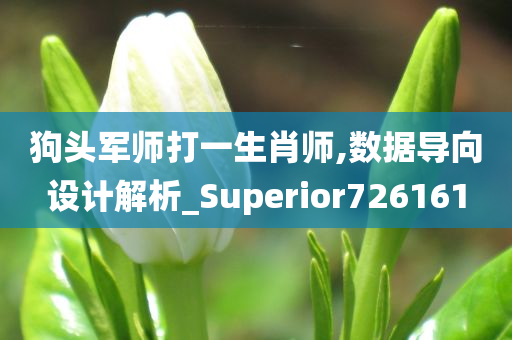 狗头军师打一生肖师,数据导向设计解析_Superior726161