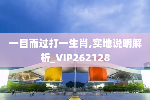 一目而过打一生肖,实地说明解析_VIP262128