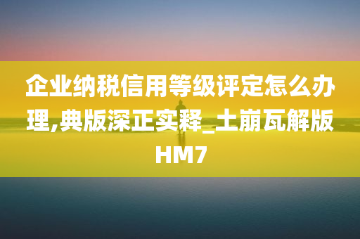 企业纳税信用等级评定怎么办理,典版深正实释_土崩瓦解版HM7