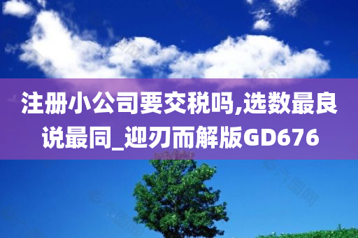 注册小公司要交税吗,选数最良说最同_迎刃而解版GD676