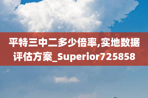 平特三中二多少倍率,实地数据评估方案_Superior725858