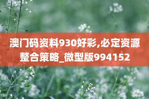 澳门码资料930好彩,必定资源整合策略_微型版994152