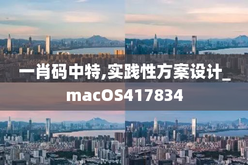 一肖码中特,实践性方案设计_macOS417834