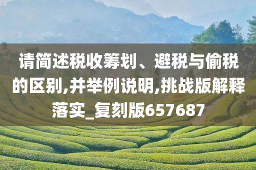 请简述税收筹划、避税与偷税的区别,并举例说明,挑战版解释落实_复刻版657687