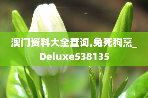 澳门资料大全查询,兔死狗烹_Deluxe538135