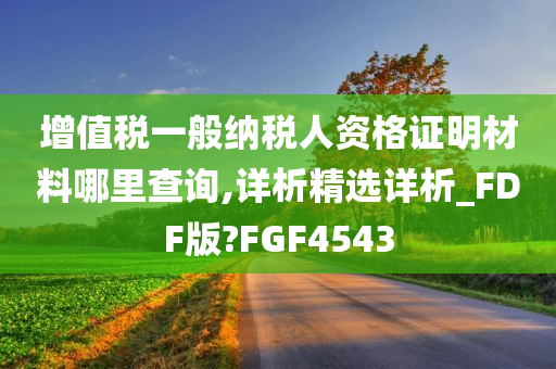 增值税一般纳税人资格证明材料哪里查询,详析精选详析_FDF版?FGF4543