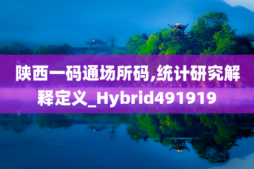 陕西一码通场所码,统计研究解释定义_Hybrid491919