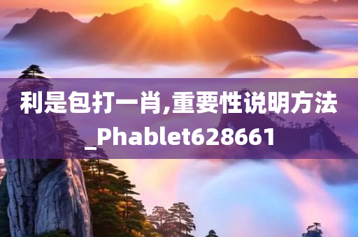 利是包打一肖,重要性说明方法_Phablet628661