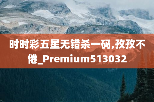 时时彩五星无错杀一码,孜孜不倦_Premium513032