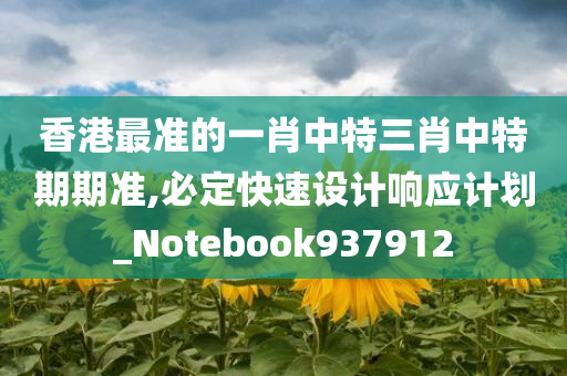 香港最准的一肖中特三肖中特期期准,必定快速设计响应计划_Notebook937912