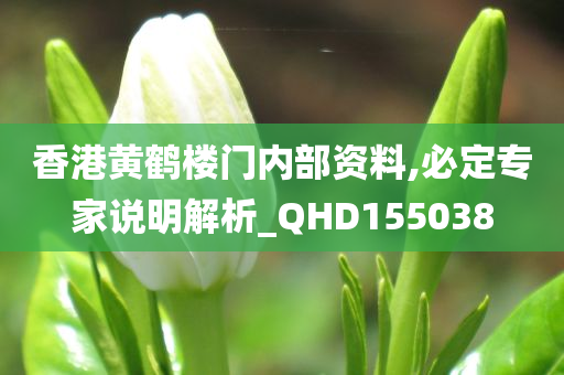 香港黄鹤楼门内部资料,必定专家说明解析_QHD155038