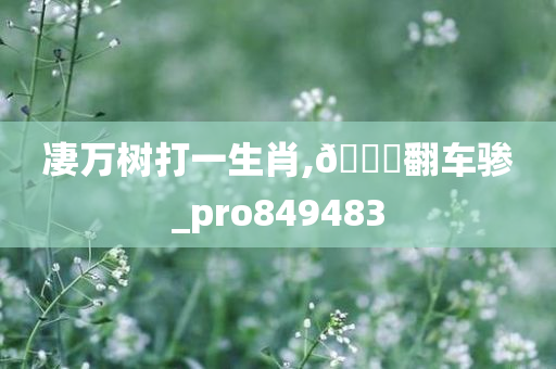 凄万树打一生肖,??翻车骖_pro849483