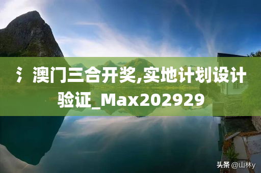 氵澳门三合开奖,实地计划设计验证_Max202929