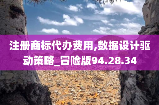 注册商标代办费用,数据设计驱动策略_冒险版94.28.34