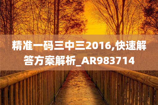 精准一码三中三2016,快速解答方案解析_AR983714