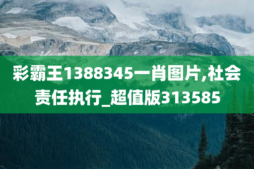 彩霸王1388345一肖图片,社会责任执行_超值版313585