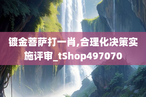 镀金菩萨打一肖,合理化决策实施评审_tShop497070