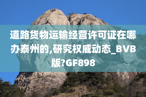 道路货物运输经营许可证在哪办泰州的,研究权威动态_BVB版?GF898